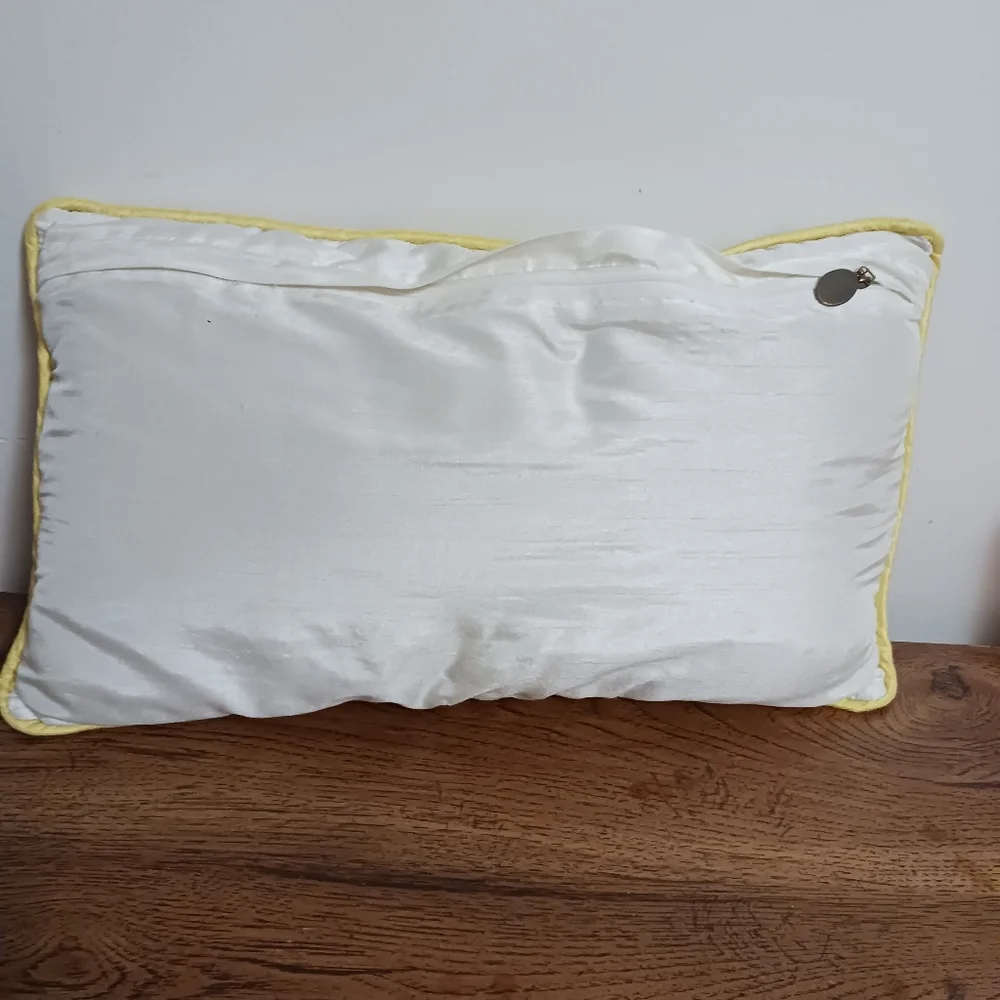 Pier 1 Embellished  Embroidered Decorative Throw Pillows 19x11